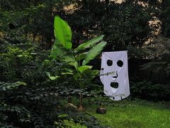 -胶囊画廊