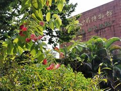 -陈李济中药博物馆