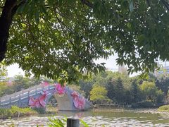 -映月湖公园