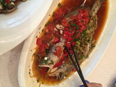 骏莱海鲜鱼港(五角场旗舰店)-骏莱海鲜鱼港(五角场店)