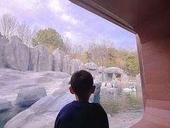 -合肥野生动物园