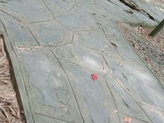 -石燕湖生态旅游景区