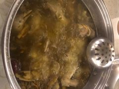 药膳乳鸽-百利鸽王(紫薇路店)