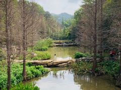 -云溪植物园