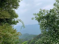 -窦圌山风景区