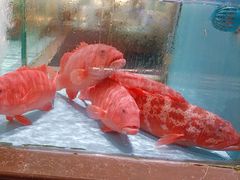 -阿伟海鲜楼·福建菜(延寿店)