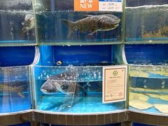 -果蔬好生活超市(东湖店)
