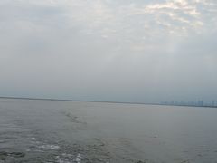 -合肥滨湖国家森林公园