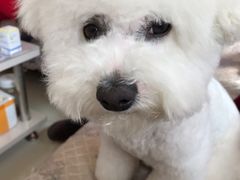 -宠福鑫康馨动物医院·骨科·眼科