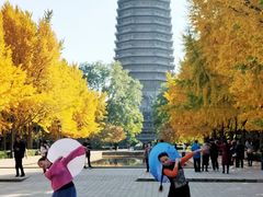 -玲珑塔公园