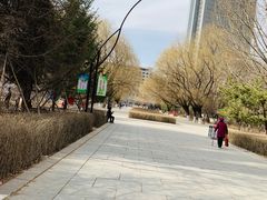 -青城公园