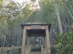 -虎跑公园