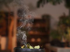 -自由生长植物工作室(深港花卉中心店)