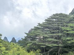 -黄山白云宾馆