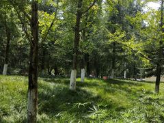 -龙头寺公园