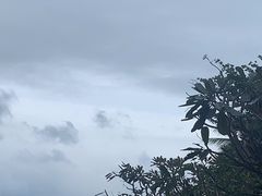 -柏悦酒店-沁园牛排海鲜西餐厅