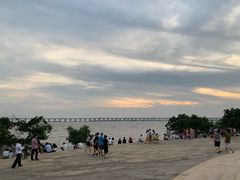 -宝安西湾红树林湿地公园