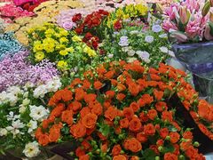 -双季花艺园艺市场(浦东店)
