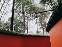 -成都武侯祠博物馆