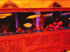 -宝乐汇量贩式KTV(宋家庄店)