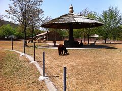 -石家庄市动物园