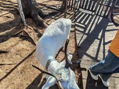 -莫尔道嘎国家森林公园