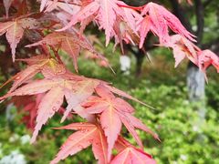 -玄武湖景区-情侣园游乐场
