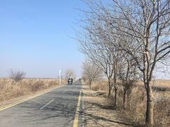 -盐城丹顶鹤湿地生态旅游区