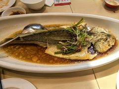 清蒸黄鱼-鼎泰丰(渔阳店)