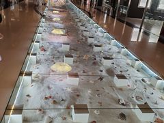 -青岛贝壳博物馆