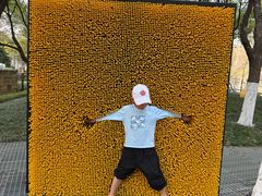 -杭州半山国家森林公园