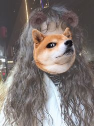 -TOP DESIGN形象设计工作室