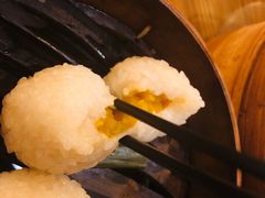 茨毛圆子-双塔老饭店