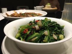 油麦菜-東舍食唐精品陕菜馆