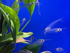 -上海海洋水族馆