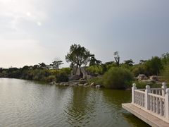 -大港湿地公园