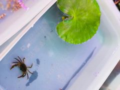 -华声天桥民俗文化园