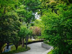 -苏州河梦清园环保主题公园