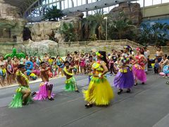 -杭州开元森泊度假乐园