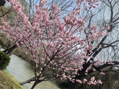 -自然谷恐龙园