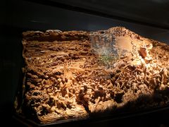 -上海市龙华烈士陵园