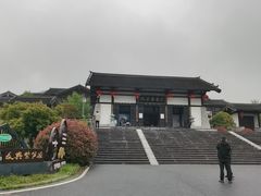 -大唐贡茶院