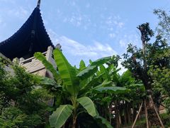 -磁器口古镇