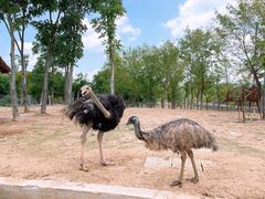 -南京金牛湖风景区