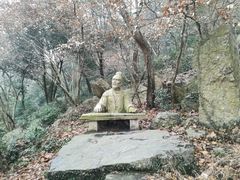 -紫金山山顶公园