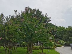 -广州雕塑公园