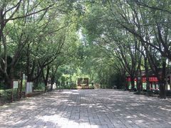 -同里国家湿地公园