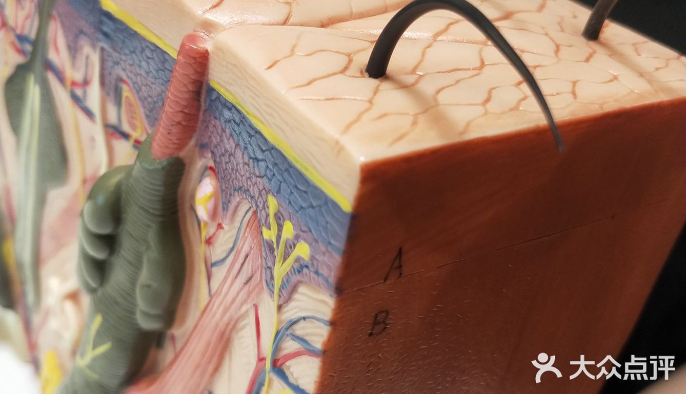 首次体验头皮护理[胜利]