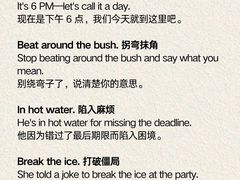 -引领英语·成人口语·雅思托福