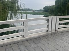 -大兴滨河森林公园